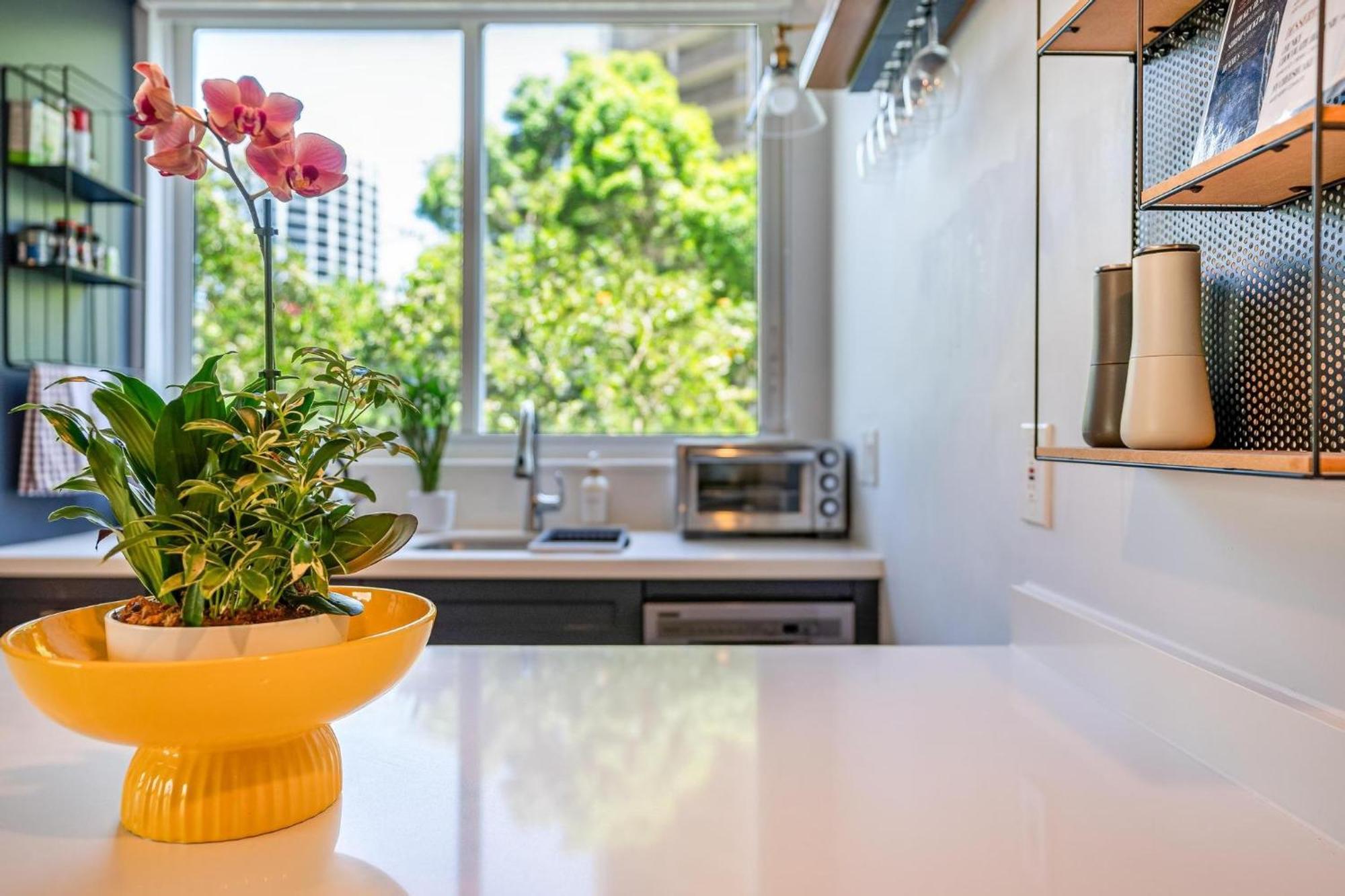 The Palms Coconut Grove 1 Bedroom Includes Parking Apartment